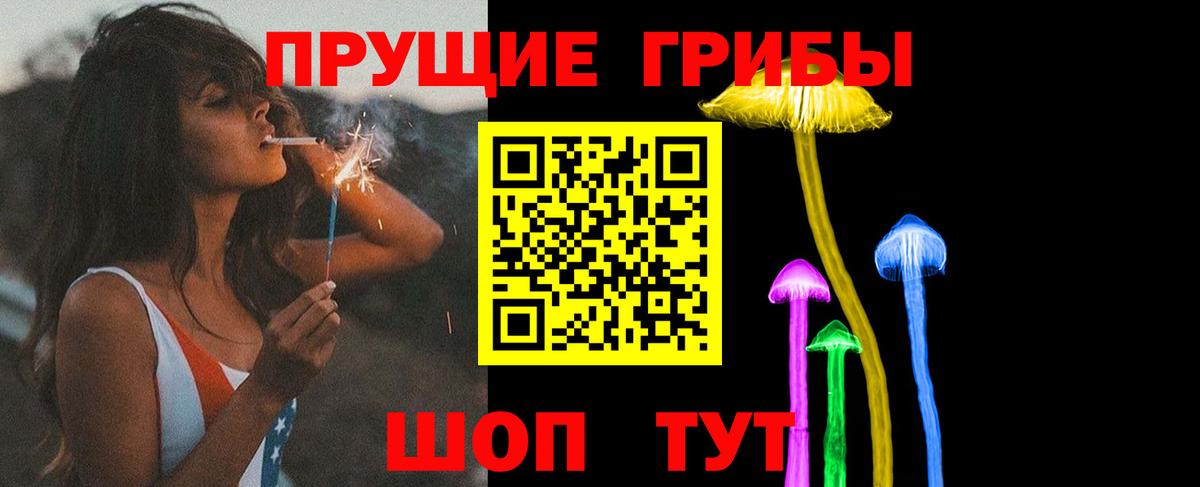 Псилоцибиновые грибы Psilocybe Скопин